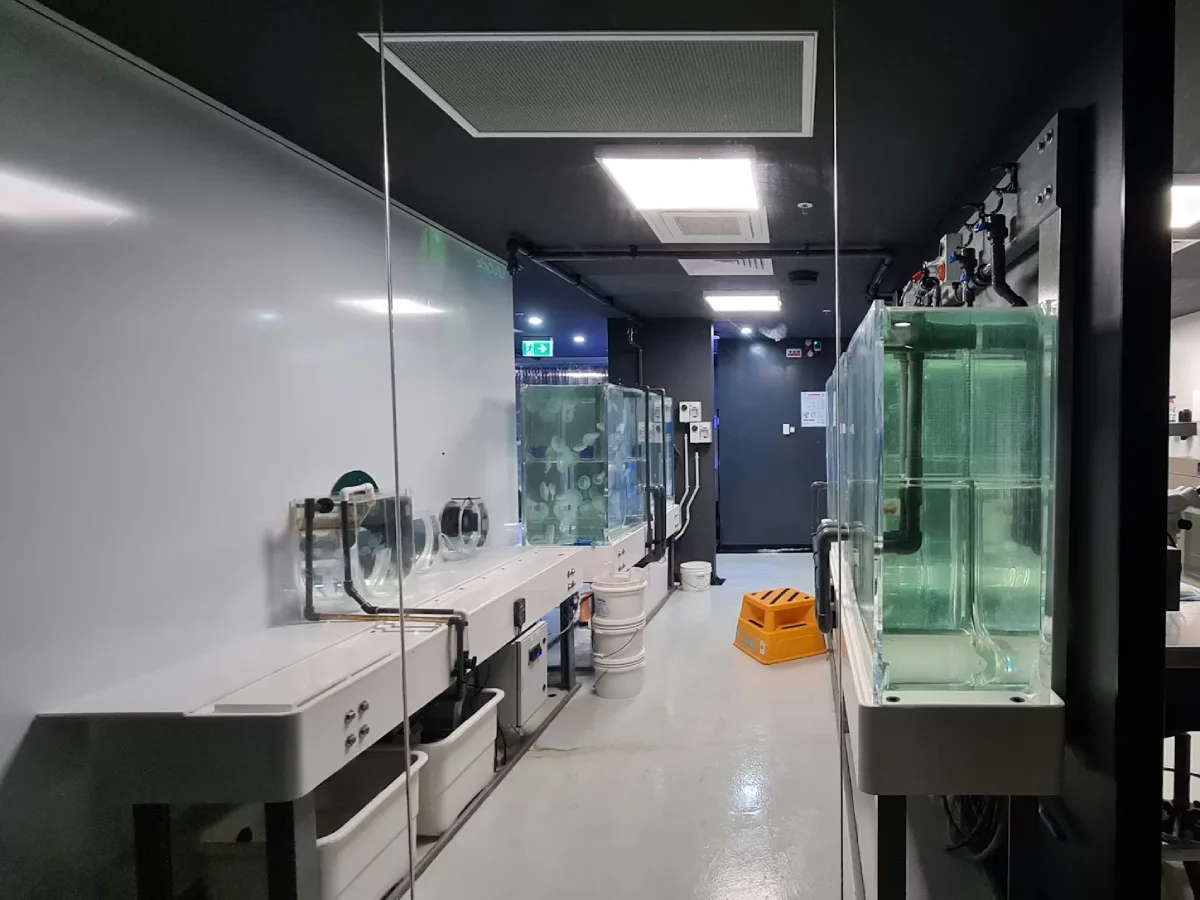 BSE production environment